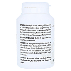 OMEGA-3 VEGAN Algenl 625 mg Kapseln 120 Stck - Rechte Seite