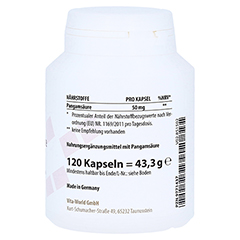 PANGAMSURE 50 mg Vitamin B15 Kapseln 120 Stck - Linke Seite