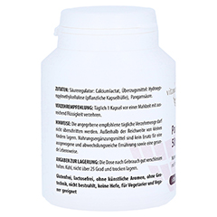 PANGAMSURE 50 mg Vitamin B15 Kapseln 120 Stck - Rechte Seite