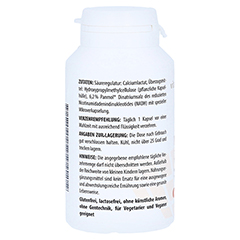 NADH 20 mg Kapseln 60 Stück - Rechte Seite