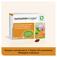 curcumin-Loges 120 Stck - Info 5