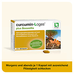 curcumin-Loges plus Boswellia 120 Stck - Info 6