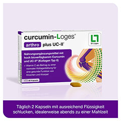 CURCUMIN-LOGES arthro plus UC-II Kapseln 60 Stck - Info 6