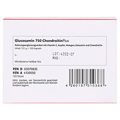 GLUCOSAMIN 750 Chondroitin Plus Megamax Kapseln 120 Stück - Unterseite