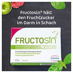 Fructosin Kapseln 90 Stck - Info 1