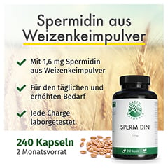 GREEN NATURALS Spermidin 1,6 mg vegan Kapseln 240 Stck - Info 1