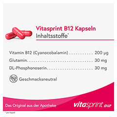 Vitasprint B12 100 Stück - Info 1