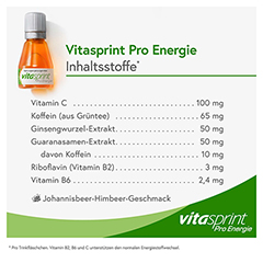 Vitasprint Pro Energie Trinkfläschchen 24 Stück - Info 2