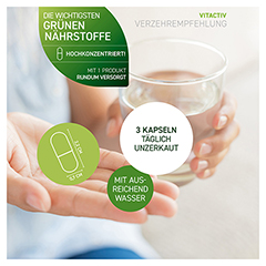 MULTI GREEN Life Vitamine & Mineralien Kapseln 90 Stck - Info 2