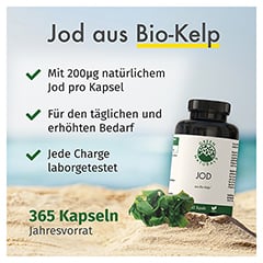 GREEN NATURALS Jod aus Bio-Kelp 200 g Kapseln 365 Stck - Info 2