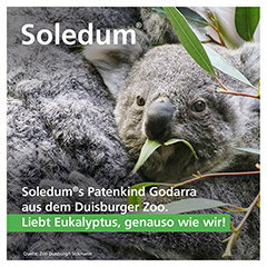 Soledum Balsam 15% Lösung 20 Milliliter N1 - Info 2