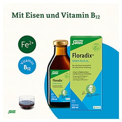 Floradix Eisen plus B12 vegan Tonikum 250 Milliliter - Info 2