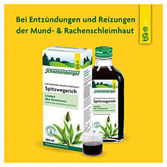 Spitzwegerich naturreiner Heilpflanzensaft Schoenenberger 3x200 Milliliter - Info 2