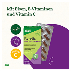 Floradix Eisen plus B Vitamine Kapseln 40 Stück - Info 2