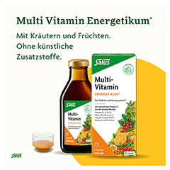 Multi-vitamin Energetikum Salus 250 Milliliter - Info 2