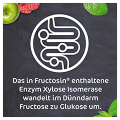 Fructosin Kapseln 90 Stck - Info 3