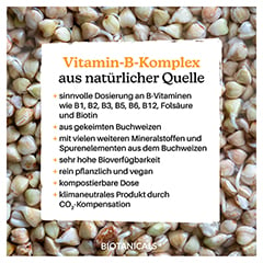 BIOTANICALS Vitamin B Kapseln 90 Stück - Info 3