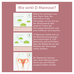 N1 D-Mannose Harnwege Direkt-Sticks 30 Stck - Info 3