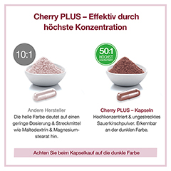 Cherry PLUS Das Original 60 Stck - Info 4