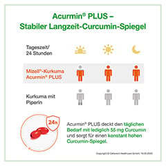 ACURMIN Plus Das Mizell-Curcuma Weichkapseln 360 Stck - Info 4