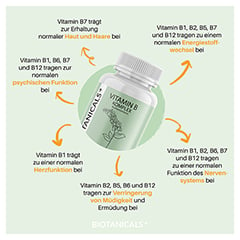 BIOTANICALS Vitamin B Kapseln 90 Stück - Info 4