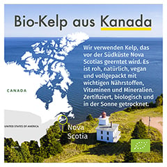 GREEN NATURALS Jod aus Bio-Kelp 200 g Kapseln 365 Stck - Info 4