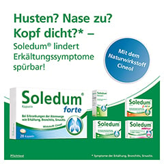 Soledum Balsam 15% Lösung 50 Milliliter N2 - Info 4