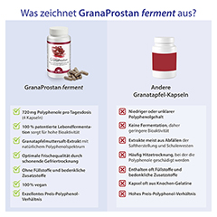 GRANAPROSTAN ferment Dr.Jacob's Kapseln 100 Stück - Info 4