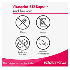 Vitasprint B12 100 Stück - Info 4