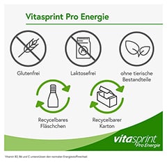 Vitasprint Pro Energie Trinkfläschchen 24 Stück - Info 6