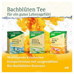 Salus Bachblüten Tee Ruhe & Gelassenheit Bio 15 Stück - Info 6