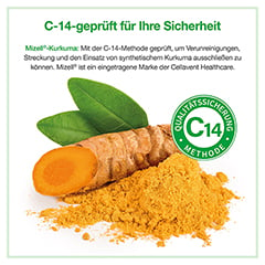 ACURMIN Plus Das Mizell-Curcuma Weichkapseln 360 Stck - Info 7