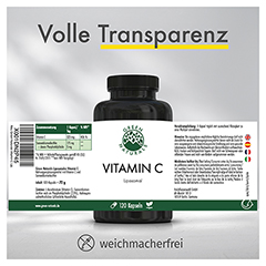 GREEN NATURALS liposomales Vitamin C 325 mg Kaps. 120 Stck - Info 7