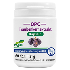 OPC TRAUBENKERNEXTRAKT+Vitamin C Kapseln