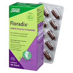 Floradix Eisen plus B Vitamine Kapseln 40 Stück