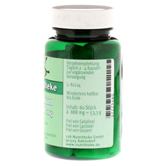 KALIUM 200 mg Kapseln 60 Stück - Rechte Seite