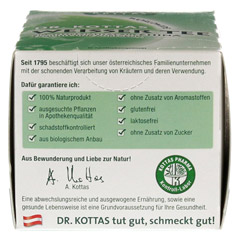 DR.KOTTAS weier Tee Filterbeutel 20 Stck - Rechte Seite