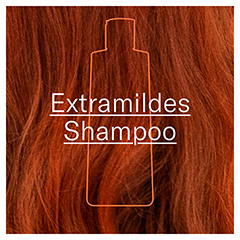 LETI AT4 Shampoo 250 Milliliter - Info 1