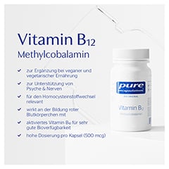 pure encapsulations Vitamin B12 Methylcobalamin 90 Stck - Info 1
