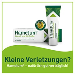 Hametum Wund- und Heilsalbe 200 Gramm - Info 1