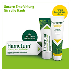 Hametum Wund- und Heilsalbe 100 Gramm N3 - Info 1