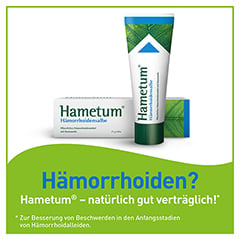 Hametum Hmorrhoidensalbe 25 Gramm N1 - Info 1