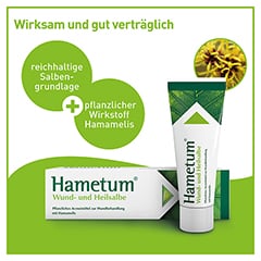 Hametum Wund- und Heilsalbe 200 Gramm - Info 3