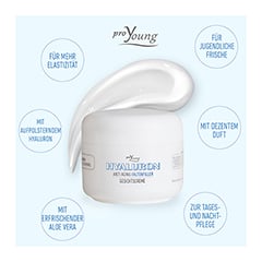 HYALURON PROYOUNG Faltenfill Creme 50 Milliliter - Info 2