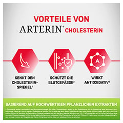 ARTERIN Cholesterin Tabletten 30 Stck - Info 2