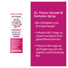 DR.THEISS Vitamin B Komplex-Spray 30 Milliliter - Info 2