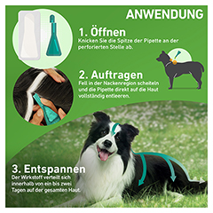 FRONTLINE Combo Spot on Hund L Lsg.z.Auft.a.Haut 3 Stck - Info 2