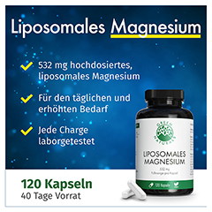 GREEN NATURALS Magnesiumcitrat liposomal veg.Kaps. 120 Stck - Info 2