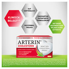 ARTERIN Cholesterin Tabletten 30 Stck - Info 3