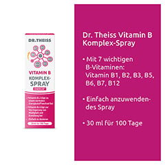 DR.THEISS Vitamin B Komplex-Spray 30 Milliliter - Info 3